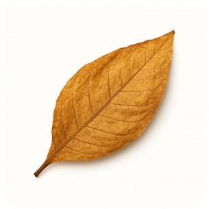 After shave balsam Taylor of Old Bond Street Tabacco Leaf